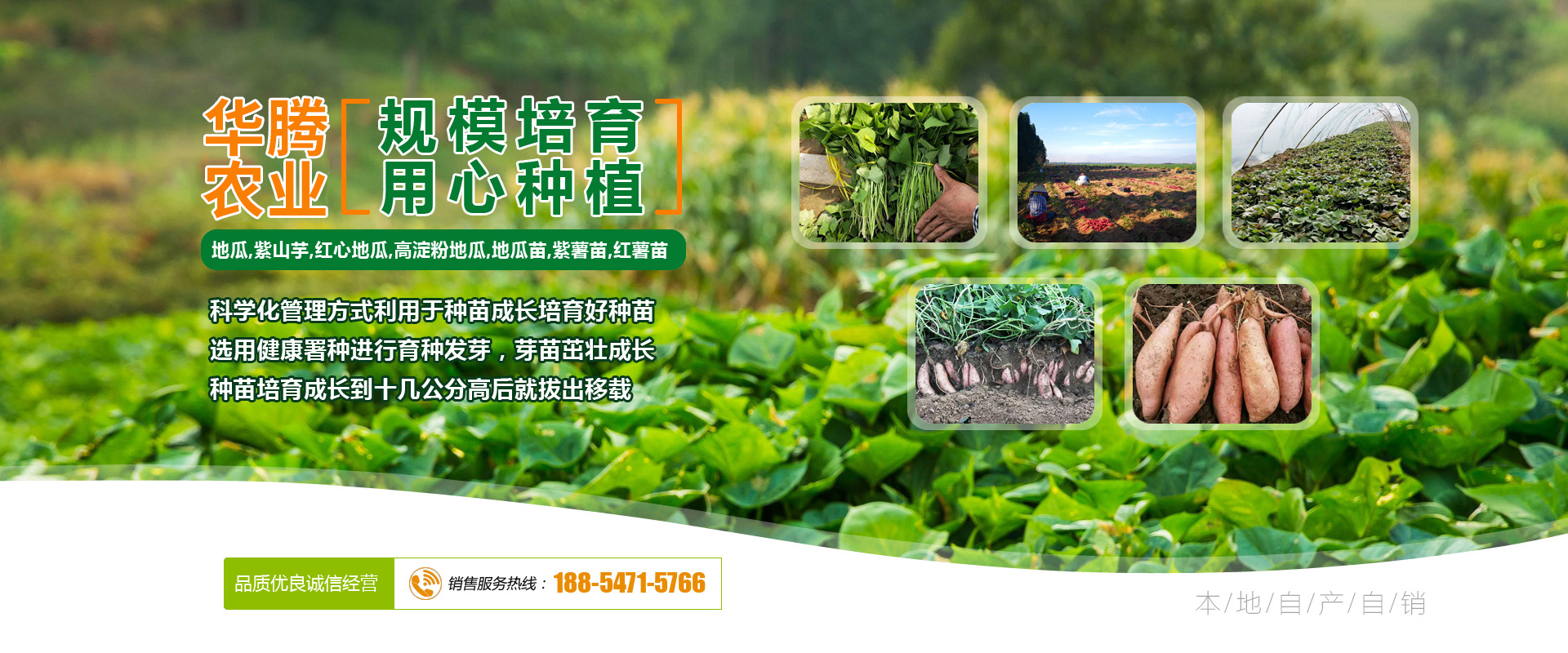 名稱名稱